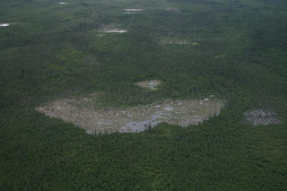 Illustration for article titled World’s Biggest Beaver Dam Discovered In Canada